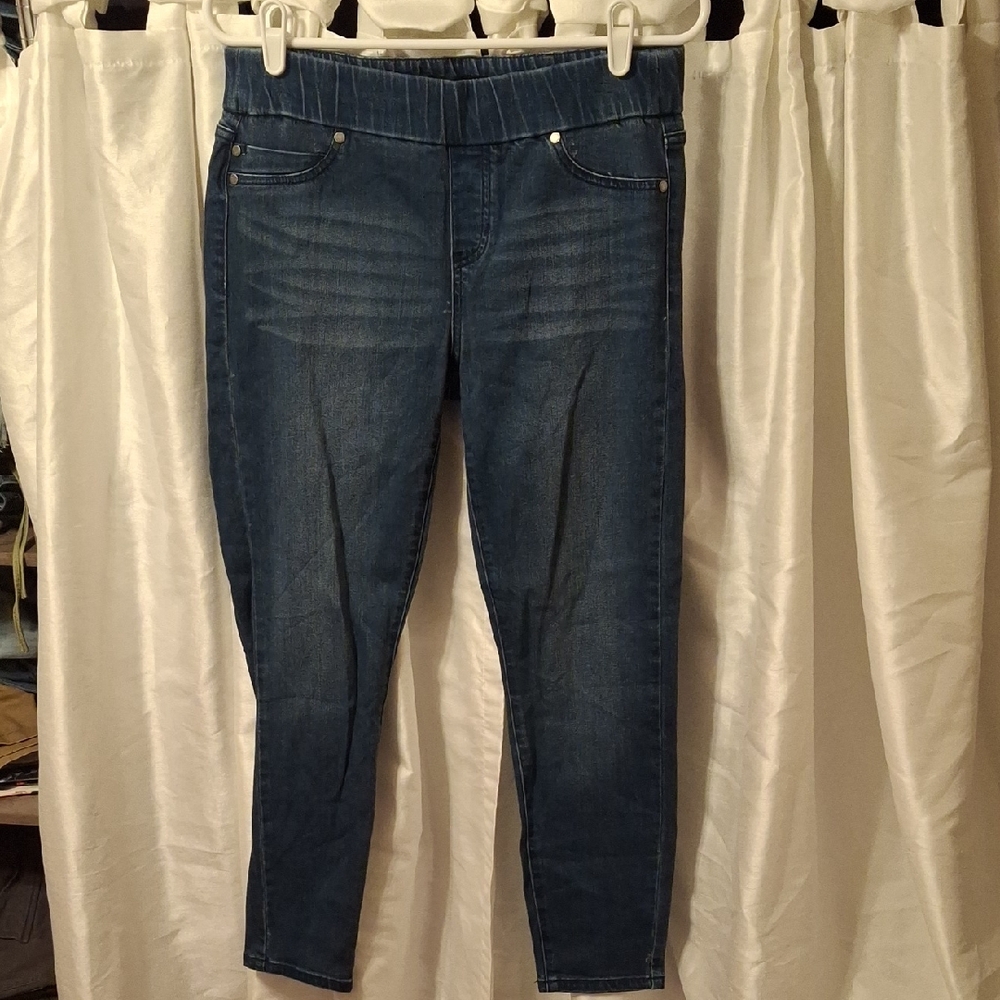 Liverpool Jeans Company Indigo Denim Pants 6/28